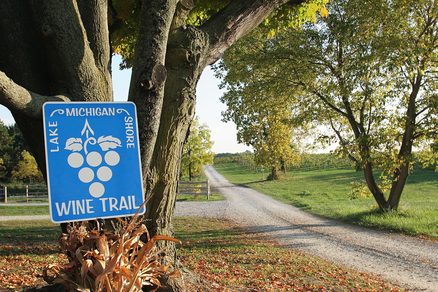 Les meilleures régions viticoles américaines à visiter cet automne 